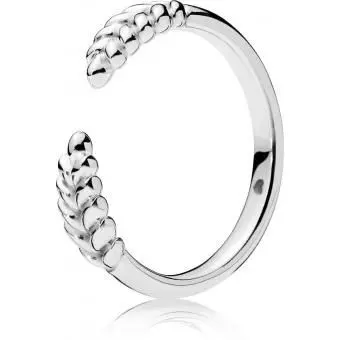 Anillos V2 — imagen 5