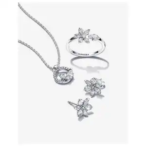Conjuntos Aretes+Anillo+Cadena miniatura 1