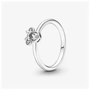 Anillos V1 miniatura 10