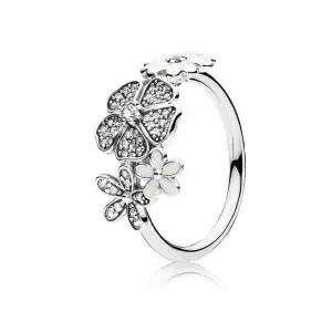 Anillos  V4 miniatura 7