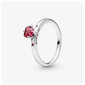 Anillo V8 miniatura 13