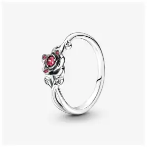 Anillos V9 miniatura 9