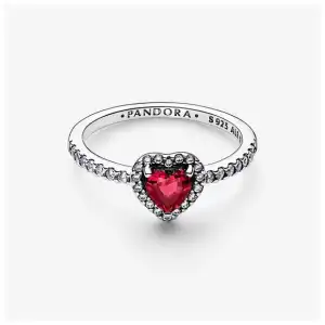 Anillos V10 miniatura 11