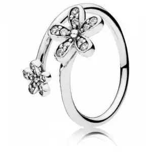 Anillos V12 miniatura 11