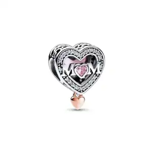 Charms Familia miniatura 10