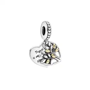 Charms Corazón V2 miniatura 10