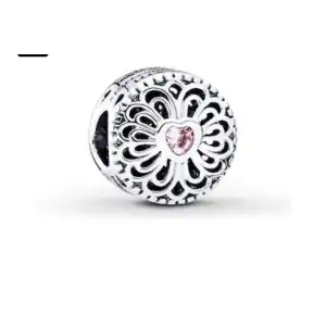 Charms Variados V6 miniatura 8