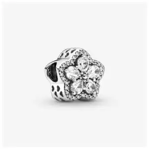 Charms Variados V9 miniatura 10